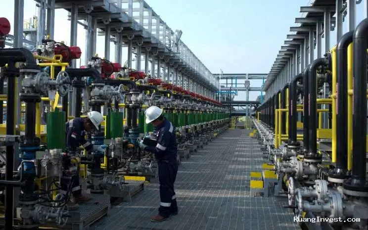 Stock Split RAJA 1:5, Saham Jadi Lebih Terjangkau bagi Investor