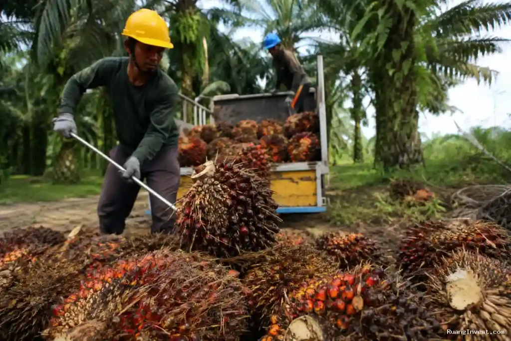 B50 di Tengah Bull Run CPO, Industri Sawit Hadapi Ujian Berat