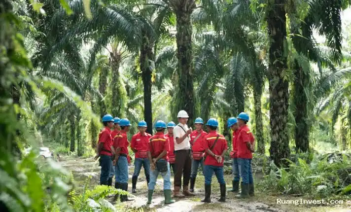 Laba Bersih DSNG Naik 7,8 Persen pada Semester I 2026