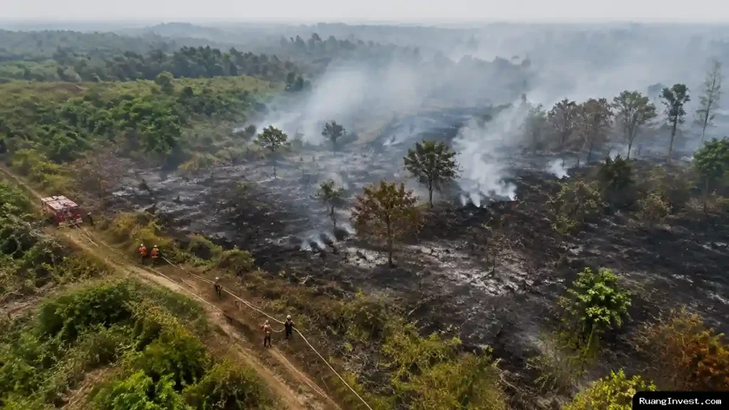 Karhutla Lintas Batas Tujuh Perusahaan Diminta Padamkan Api Dan Cegah Pembakaran